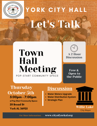 Town Hall Flyer
